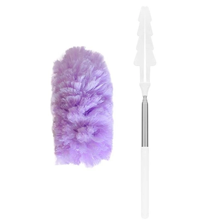 Handheld Duster